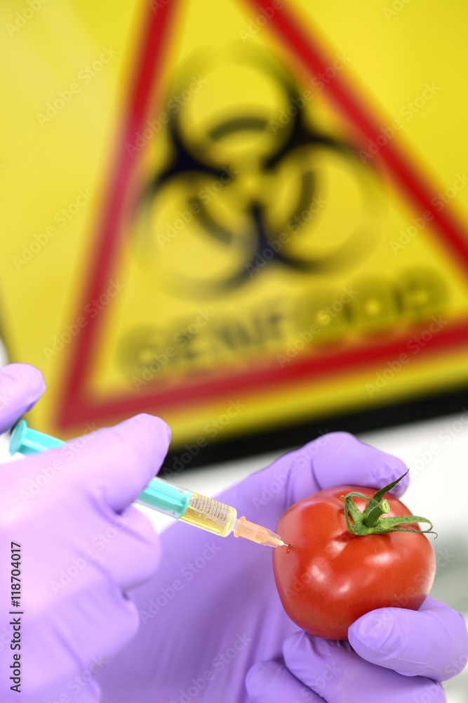 Gentechnik im Labor Genfood Lebensmittel Gentechnik im Labor Genfood Lebensmittel