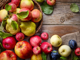 Crédence de cuisine Fruits Fruits d'automne abondance nature morte  © Mara Zemgaliete