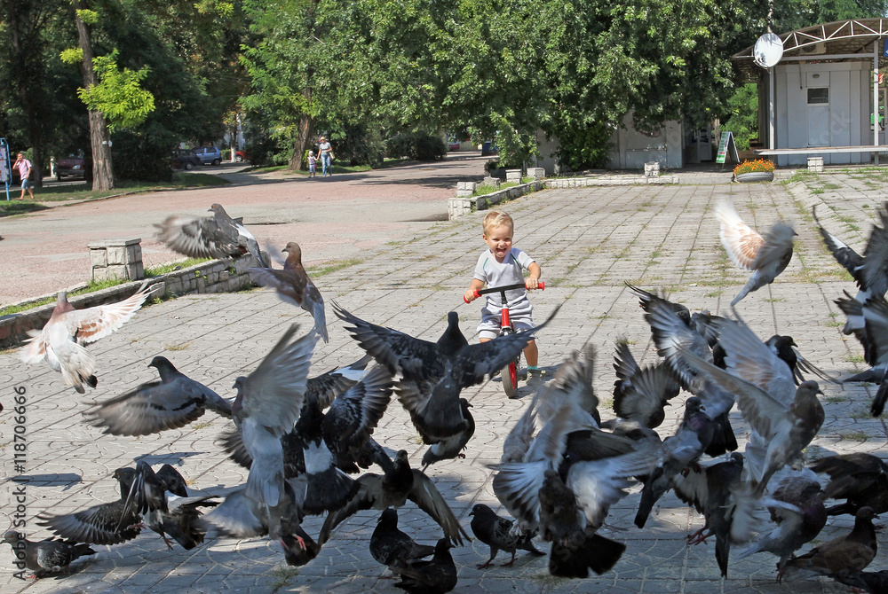 Obraz premium Small white boy on a bicycle chasing pigeons. A flock of pigeons