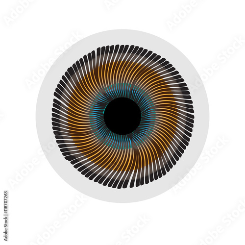 Vector illustration of the all-seeing eye on a white background