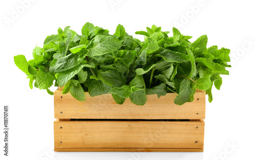 Green mint in crate, isolated on white