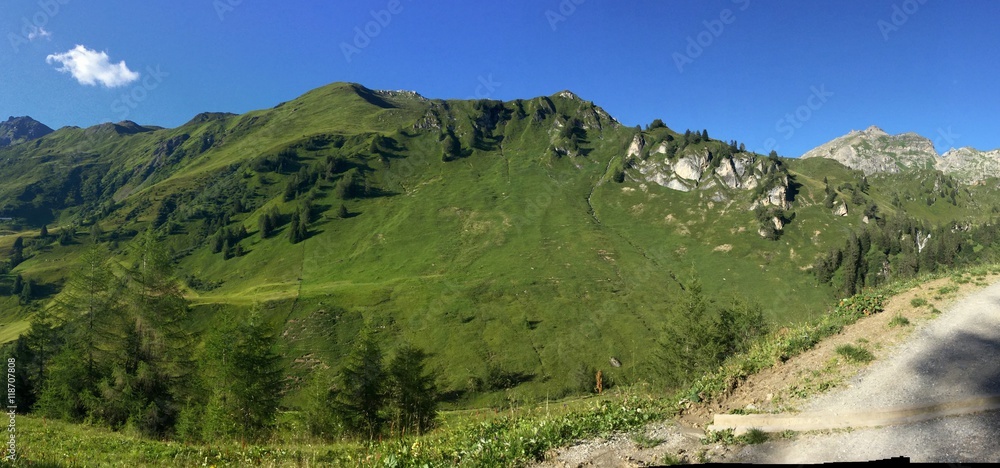 Obraz premium Aussicht auf grüne Bergwiese