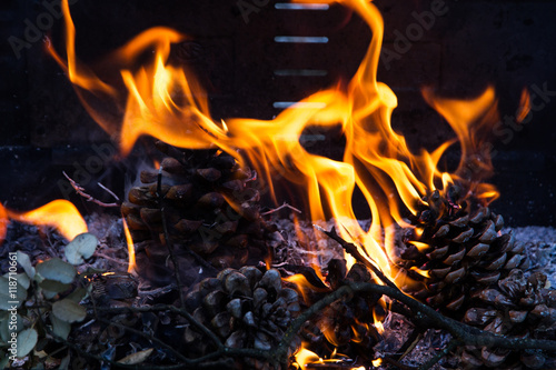 Fire burning pine cones on a barbecue. It is creating heat to cook the food later. 