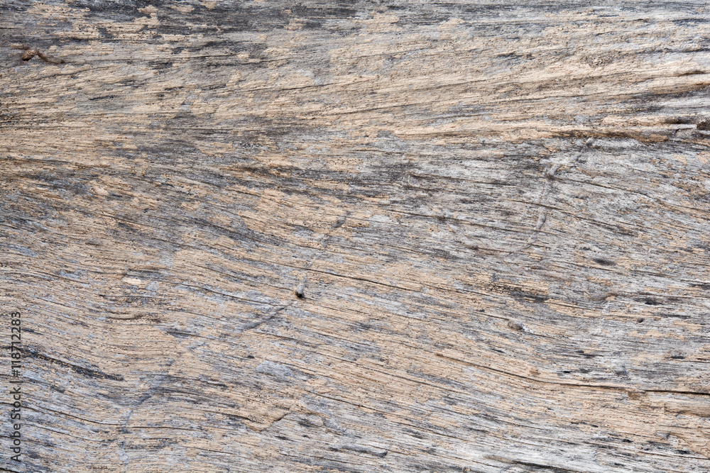 Naklejka premium Texture of old wood background