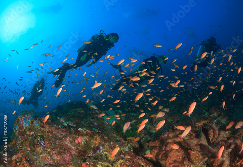 Fototapeta Naklejka Na Ścianę i Meble -  Scuba diver coral reef