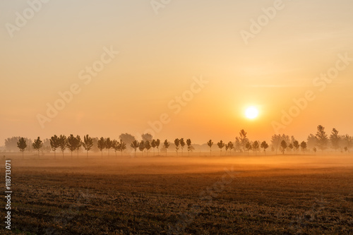 Beautiful yellow sky at sunset