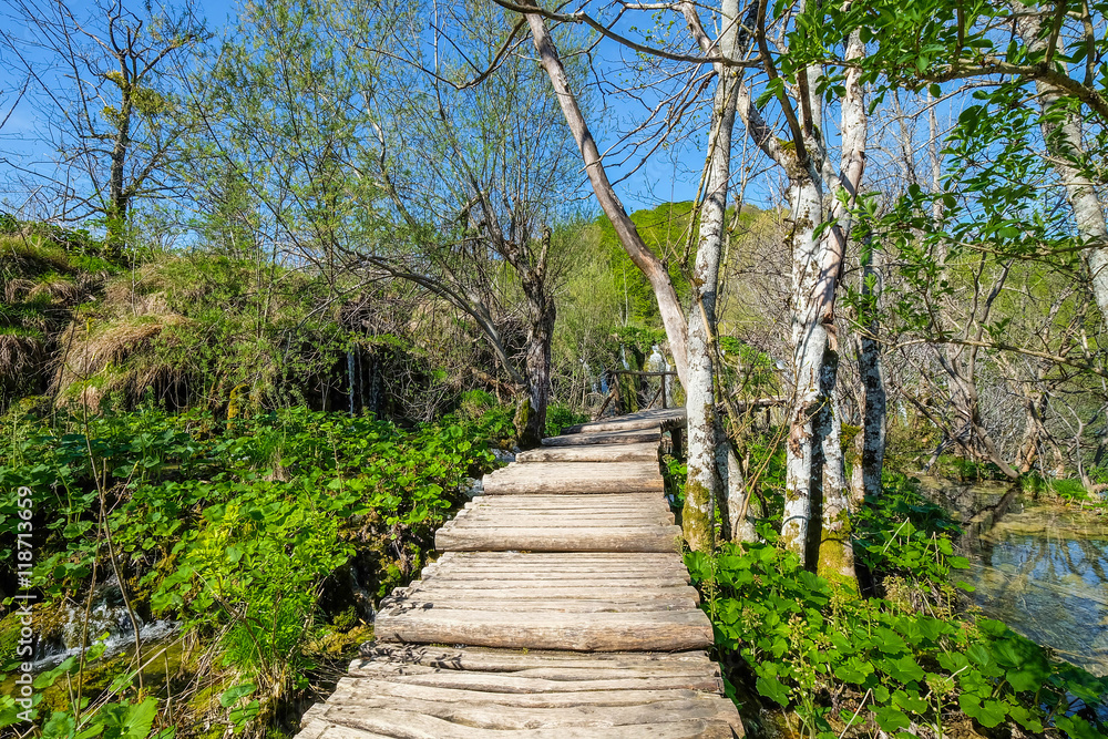 Plitvice Lake, Croatia with forest and waterfalls Plitvice Lake, Croatia with forest and waterfalls