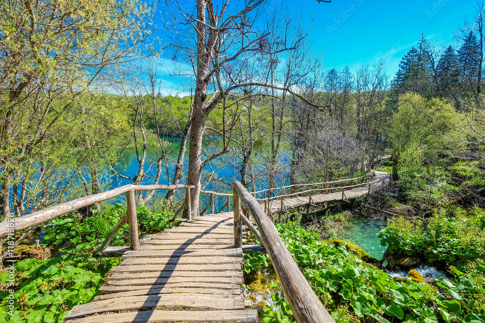 Fototapeta premium Plitvice Lake, Croatia with forest and waterfalls