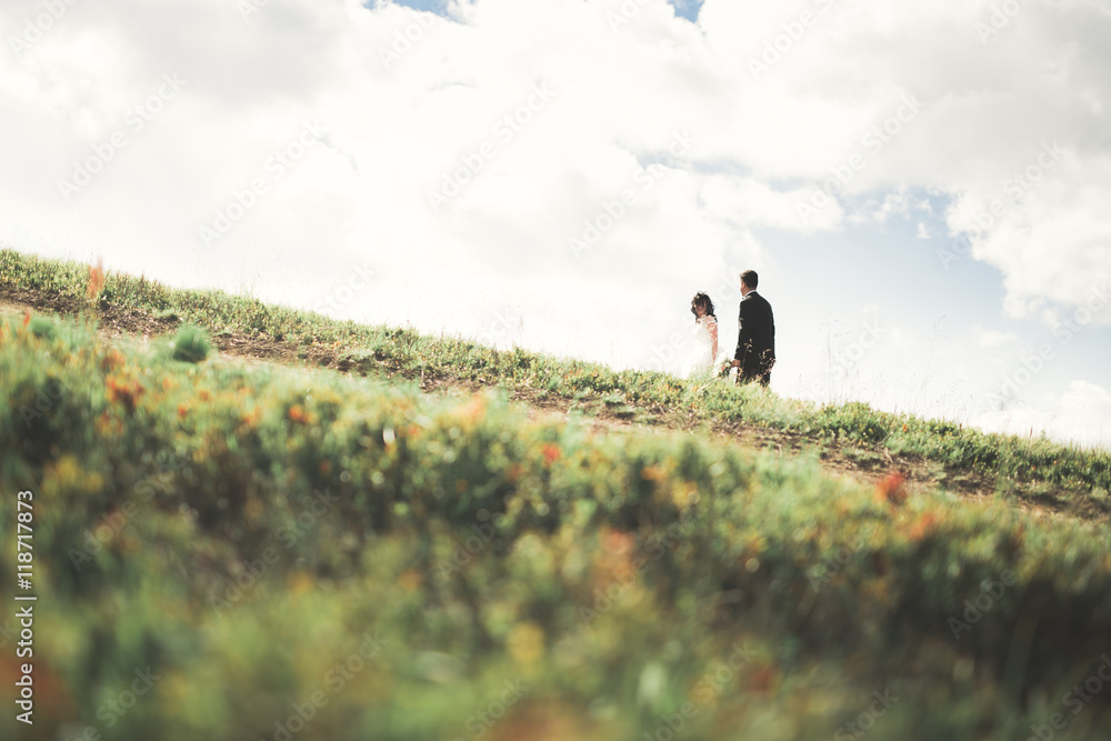 Fototapeta premium Kissing wedding couple staying over beautiful landscape