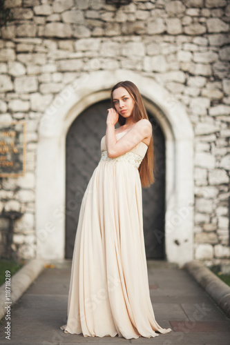 Young woman with long dress and hair posing in park  near old gate © olegparylyak