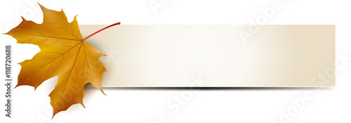 Banner mit Ahornblatt, Vorlage
