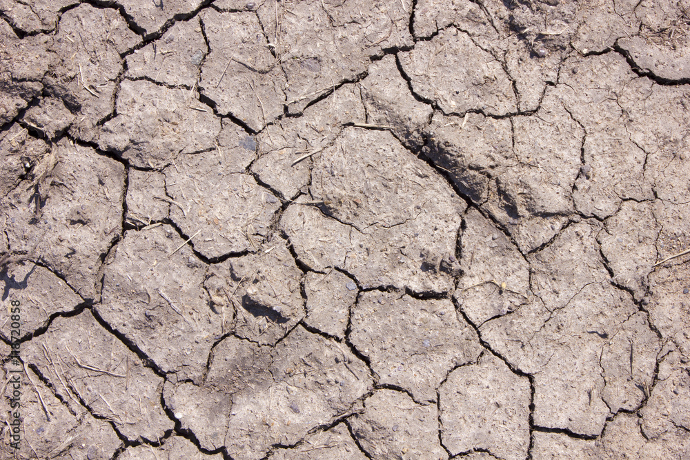 Dry land background Dry land background