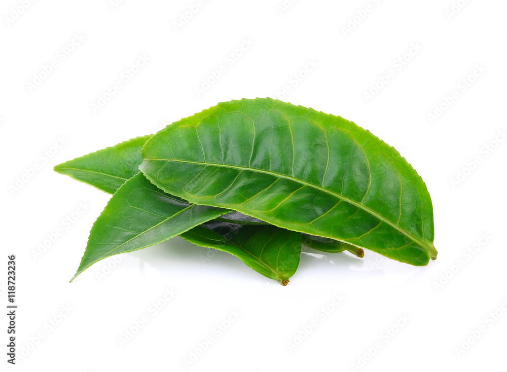 Obraz premium Green tea leaf isolated on white