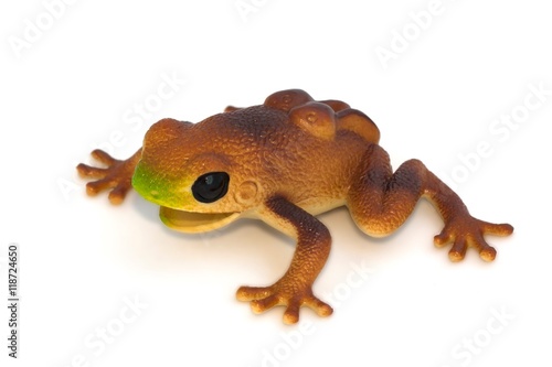 Frog toy on white background