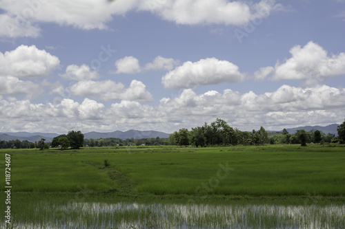 view of farm fields in rural Thailand .