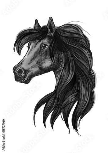 Fototapeta Naklejka Na Ścianę i Meble -  Black arabian horse head symbol
