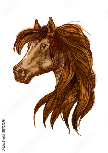 Fototapeta Naklejka Na Ścianę i Meble -  Horse head with long wavy mane
