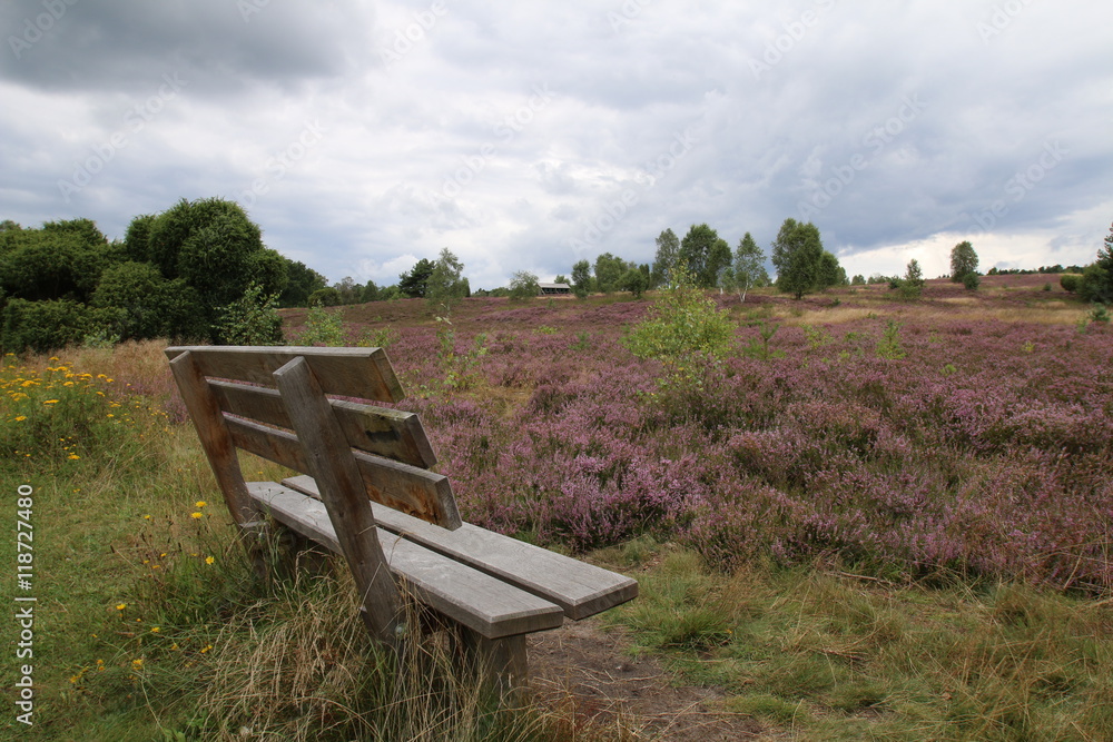 Zeit für eine Pause, Lüneburger Heide Zeit für eine Pause, Lüneburger Heide