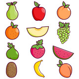Fruits collection on white background. Vector illustration