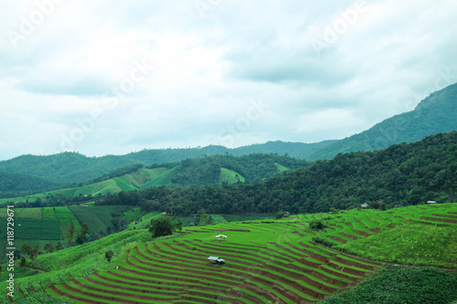 Green Terraced Rice Field at Pa Bong Piang village, Chiangmai, Thailand.