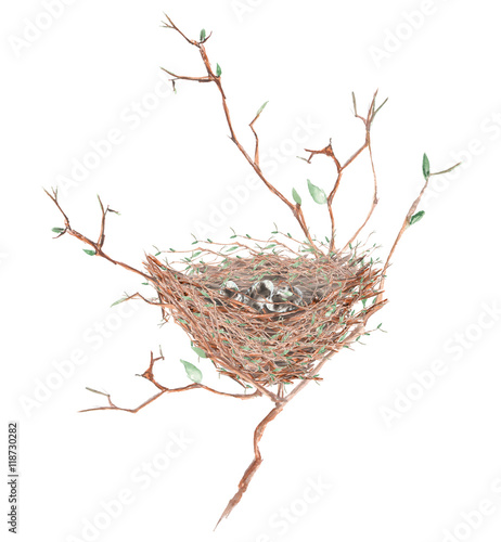 Illustration of the watercolor bird nest  with eggs on the tree branches, hand drawn isolated on a white background photo