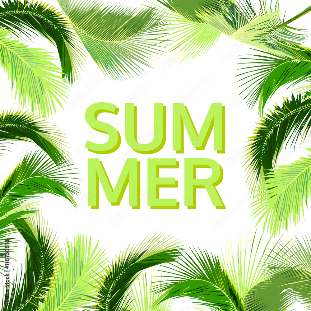 summer background with coconut tree leaves, natural vector