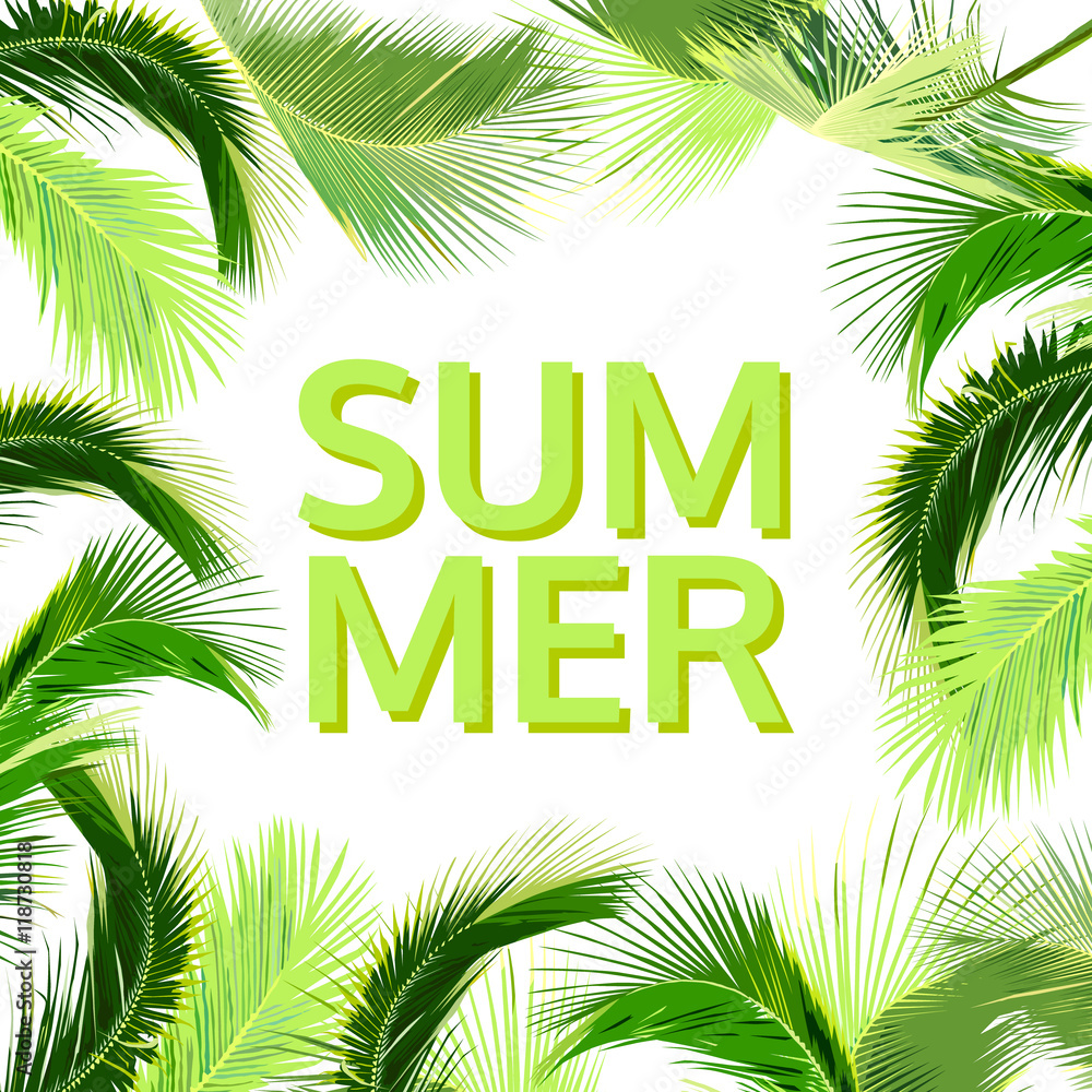 Obraz premium summer background with coconut tree leaves, natural vector