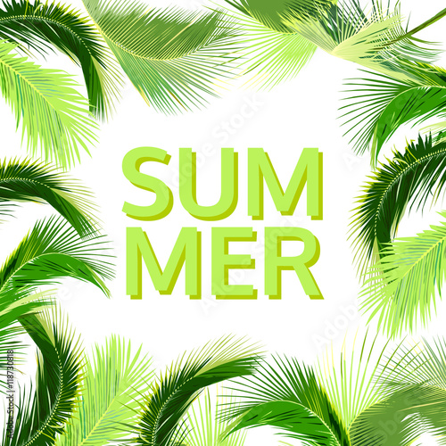 summer background with coconut tree leaves, natural vector © plalek
