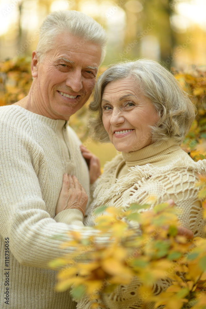Senior couple in autumn park Senior couple in autumn park
