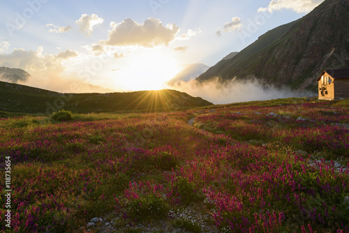 Mountain hut on the blossoming field in sun beams at sunset