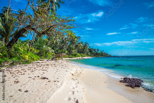 Beautiful tropical island beach summer holiday - Travel summer vacation concept. © pla2na