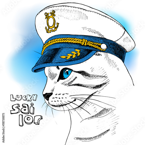 Portrait of a cat in sailor's cap on blue background. Vector illustration.