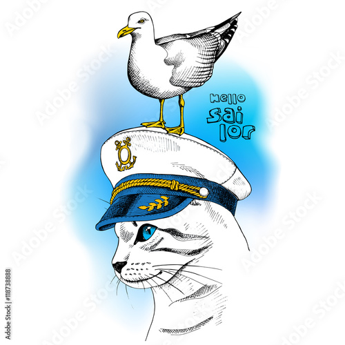 Portrait of cat wearing a sailors hat and seagull on blue background. Vector illustration.