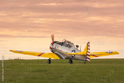 Tableau sur toile Warbird