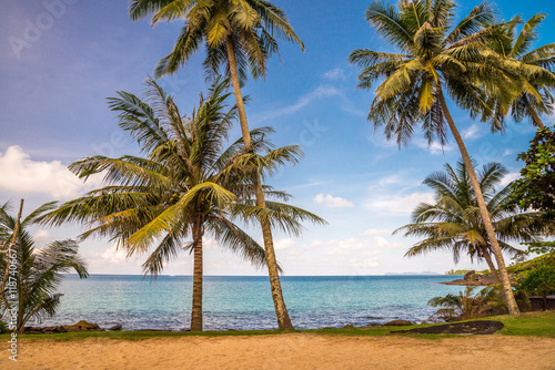 Beautiful tropical island beach with coconut palm trees - Travel summer vacation concept