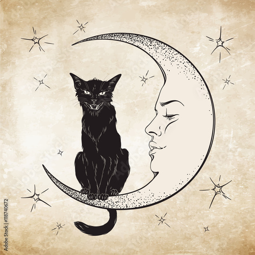 Black cat sitting on the moon. Wiccan familiar spirit vector