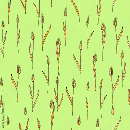 vector seamless pattern with of cartoon doodle wheat spikes