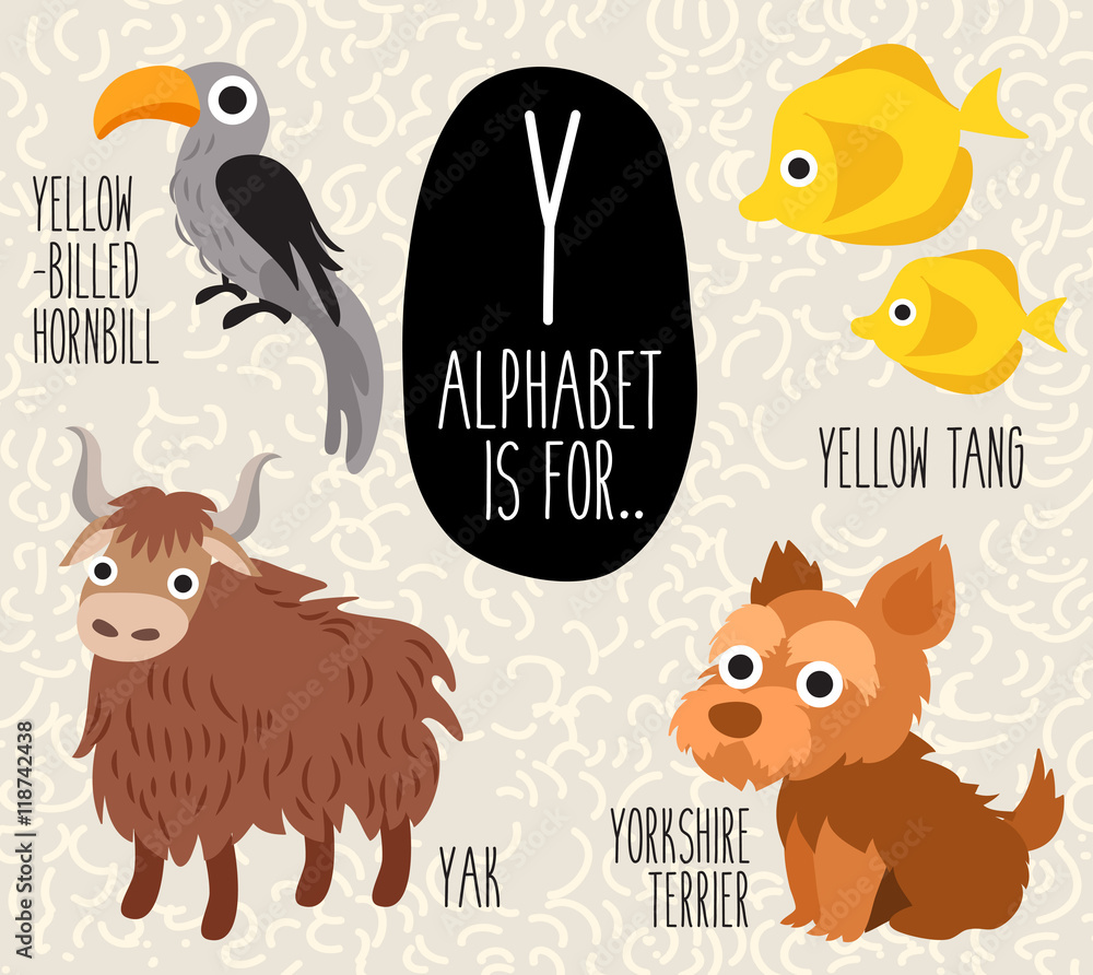Animals That Start With The Letter Y
