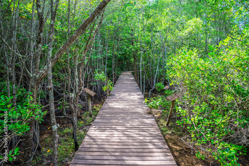 Beautiful long wood bridge in mangrove forest - Green nature or save environmental concept. © pla2na