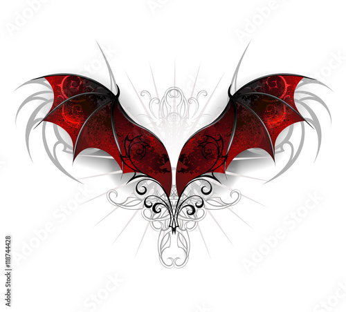 Wings of dragon