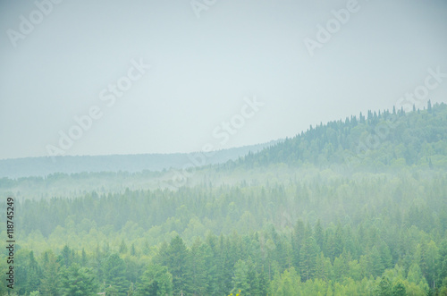 thick morning fog in the summer forest. © efimenkoalex