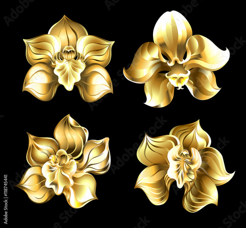 Fototapeta Naklejka Na Ścianę i Meble -  Set of gold orchids