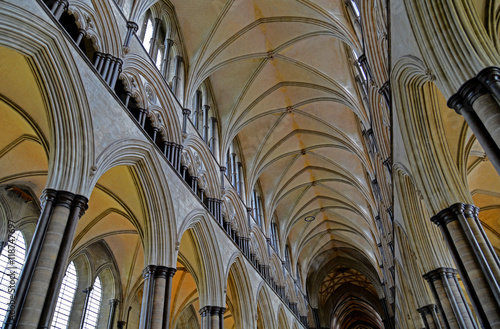 Salisbury Cathedral, Gewölbe / Wiltshire, Südengland