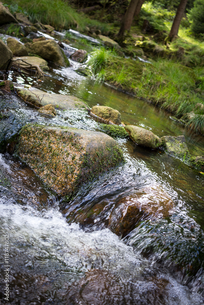 Bach im Wald. Bach im Wald.