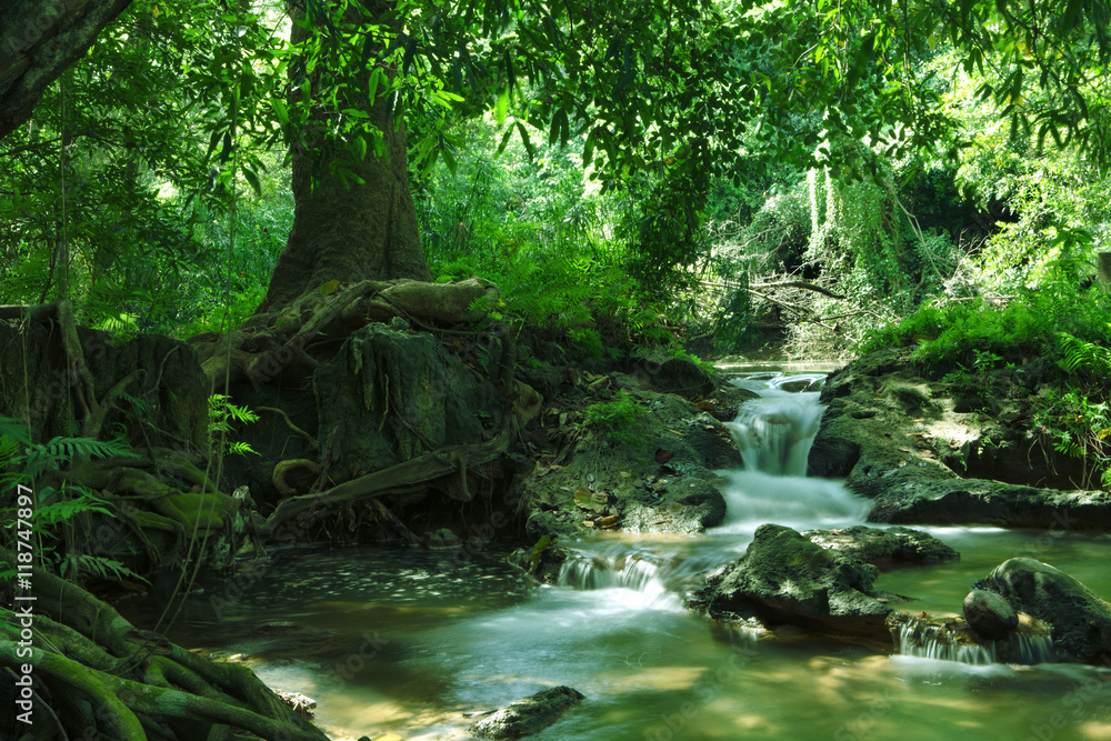 panorama view of nice waterfall and pond in green tropical environment panorama view of nice waterfall and pond in green tropical environment