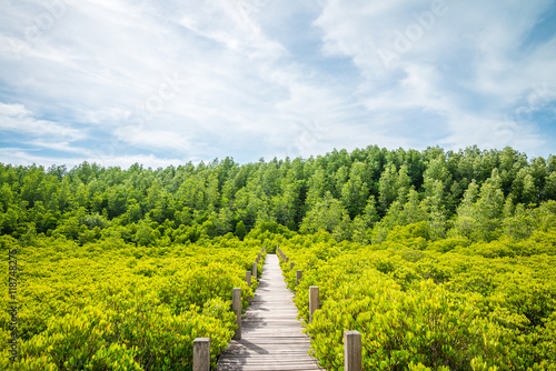 Long wood bridge in mangrove forest - Travel holiday or save the earth concept. © pla2na