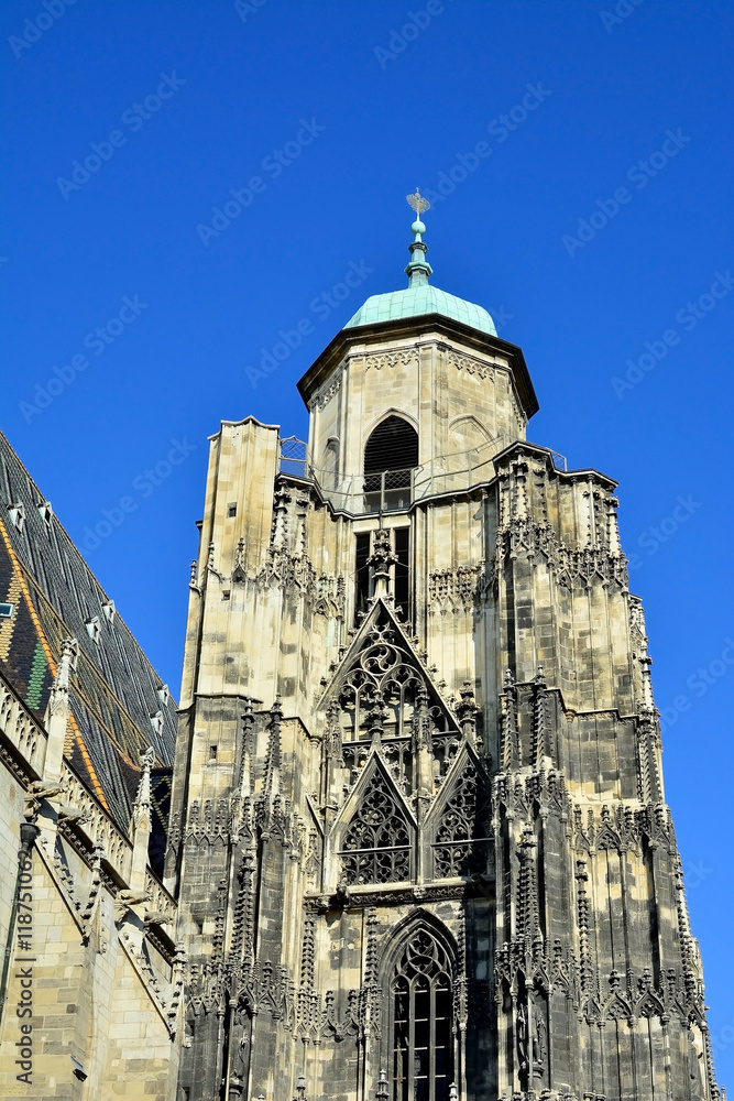 Fototapeta premium Wiener Stephansdom - Nordturm