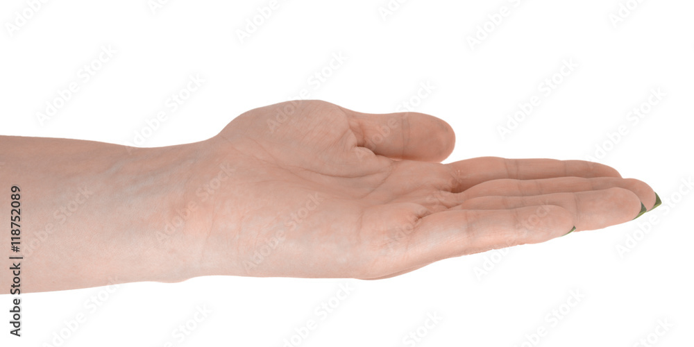Open hand giving anything, adult female's skin, yellow manicure. Isolated on white background Open hand giving anything, adult female's skin, yellow manicure. Isolated on white background