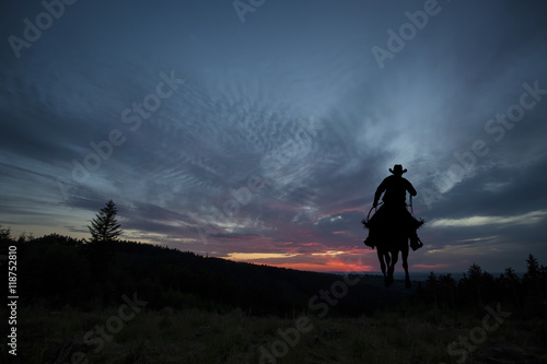 Cowboy on a horse © semisatch