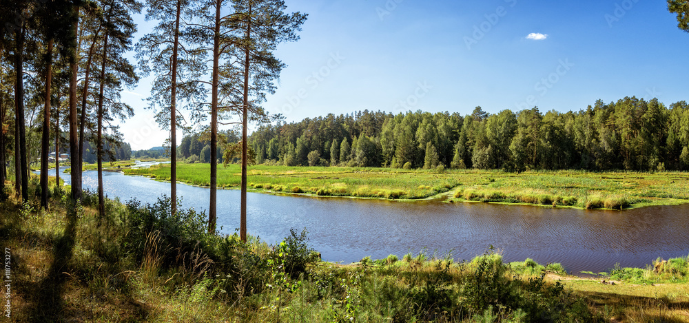 Fototapeta premium летний пейзаж на берегу уральской реки Иртыш, Россия
